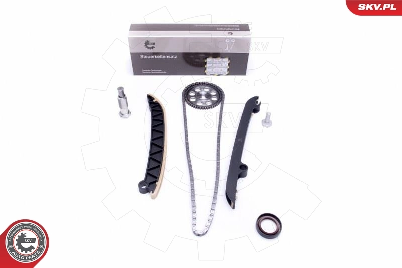 Timing Chain Kit